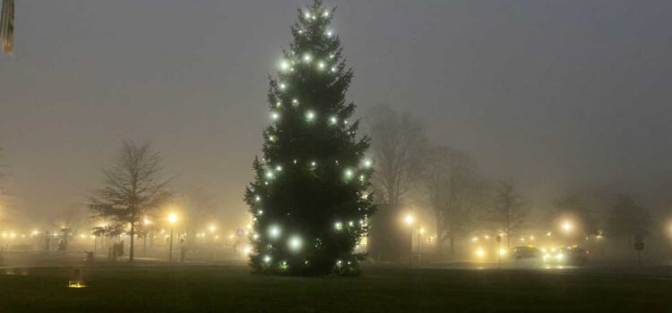 Weihnachten Foto von Peter Michael Haas